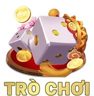 Hình ảnh minh họa Cookie Hiệu Suất để phân tích trải nghiệm người dùng f789