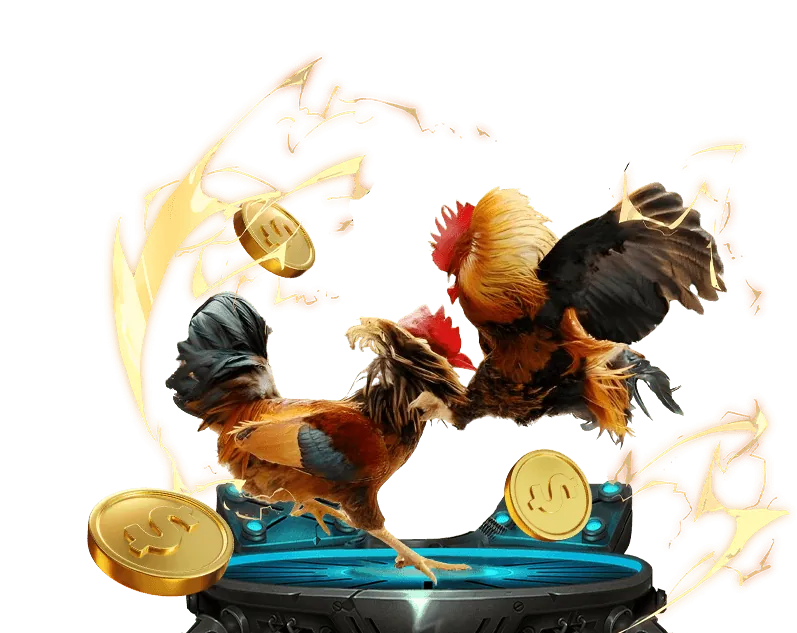 Hình ảnh minh họa bảo mật tài khoản người chơi tại suncity casino